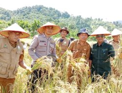 Program UBI Fields Indonesia Semakin Disambut Petani Aceh Selatan