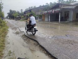 Tak kunjung diperbaiki Pemuda Limau Purut minta Pemda Asel perbaiki jalan rusak